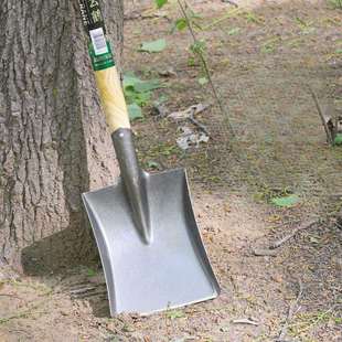 木柄铁锹全钢淬火钢锹户外挖土铲子种花园艺工具尖头方头加淳枫