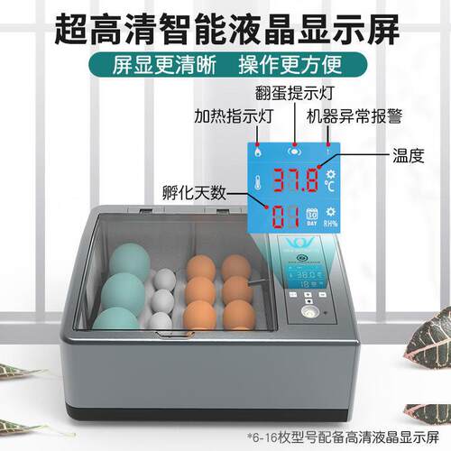 全自动孵化机化小TAC型家用智能孵化器鸽鹑鸡鸭鹅子鹌孵蛋器鸟类