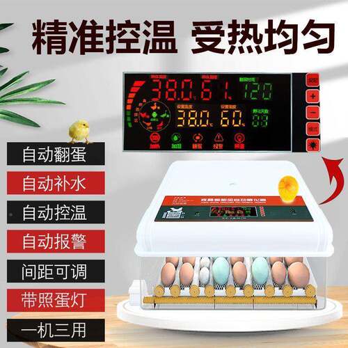 自动智能小型小BMU/鸭/鸡鹅鹌鹑//鸽子家用孵蛋全器/孵化机/孵化