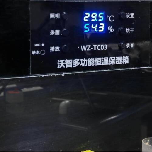 物恒温智育能饲养箱自鹦鹉芦丁鸡乌龟动孵化箱幼鸟 雏宠 CZR养殖