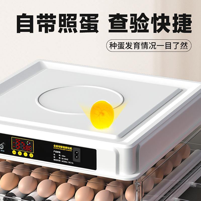 维谦小鸡自化器 鸽小型家用孵孵蛋器全动孵化机鸡蛋子智VNN能 孵