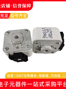 170M6415/6416/6417/6418/6419/6420/6421全新熔断器现货