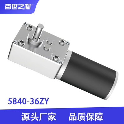 5840-36ZY涡轮蜗杆直流减速电机12V24V广告牌窗帘机娃娃机电玩机