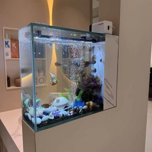 定制鱼缸半墙广东大型鱼缸底滤方型超白隔断靠墙生态免换水鱼缸