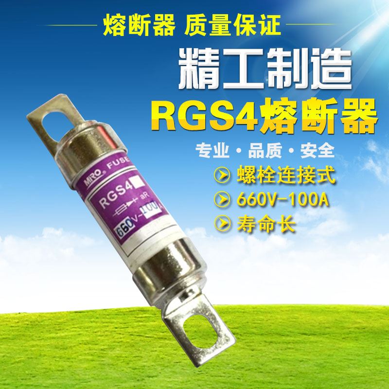 。RGS4-100A 保险丝 螺栓连接快速熔断器RGS4 660GH 100A