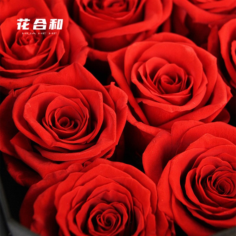 永生花玫瑰rose礼盒首饰盒生日摆件干花真花送女友520情人节礼物