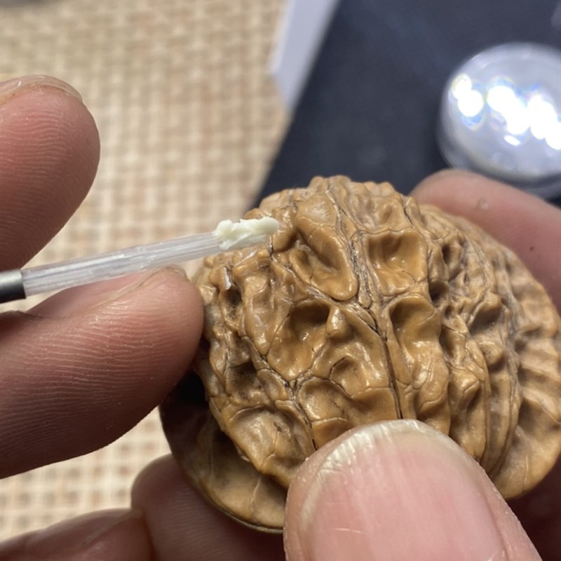 文玩研磨膏文玩核桃金刚桃核 研磨坑道清理光亮专职核桃尴尬期