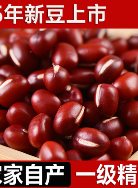 东北红小豆25年农家新货大粒赤小豆红豆薏米甜品糕点五谷杂粮粗粮