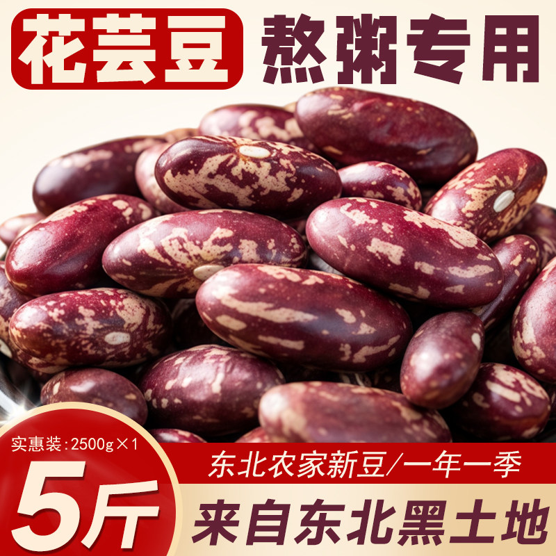 东北紫花芸豆26年新货农家熬煮大碴粥饭豆五谷杂粮特产新鲜红腰豆