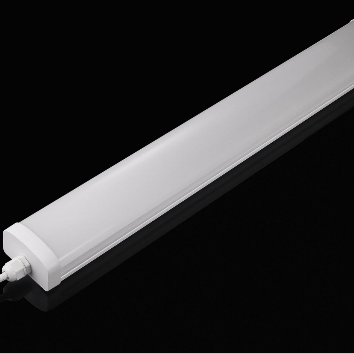 LED食品工厂灯具    灯   IP66 IP69K 1.2米36W 一体化三防灯专用