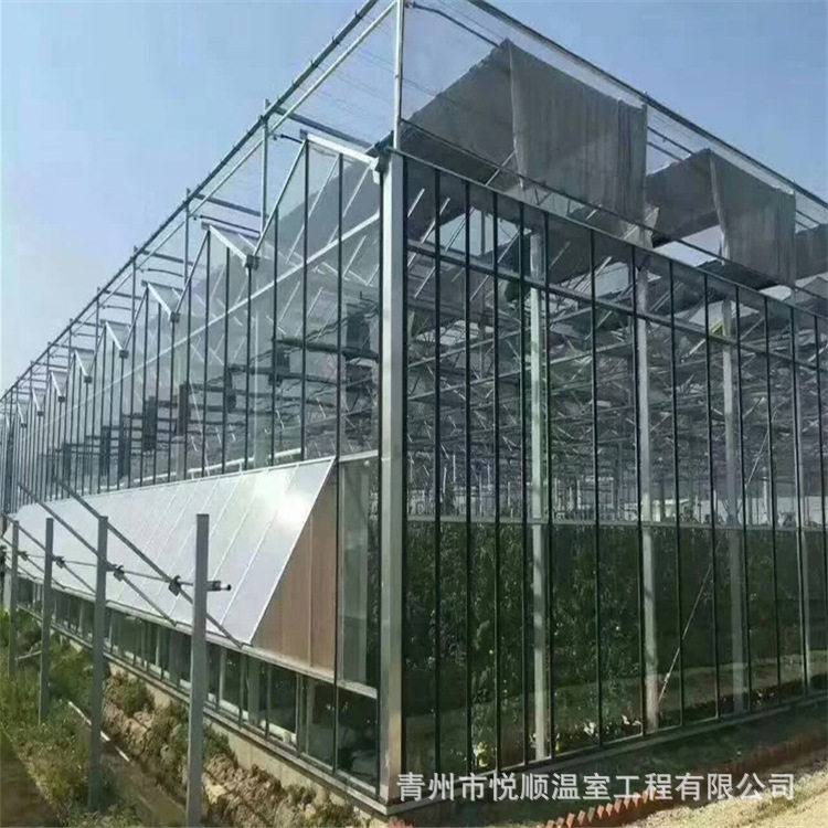 制作蔬菜水果暖棚薄膜连栋大棚骨架简易连体玻璃温室大棚工程建设