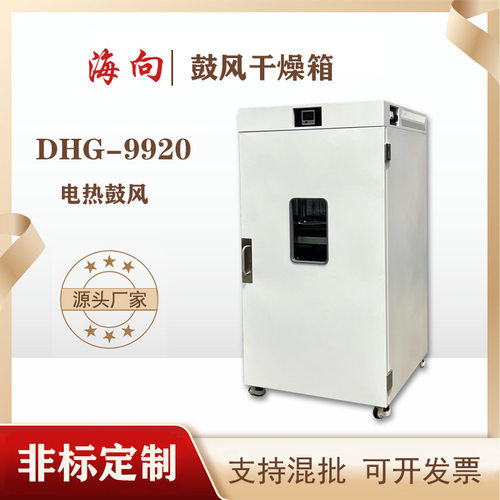 海向非标定制款鼓风干燥箱 电热款 定制各种尺寸厂家直销DHG-9920