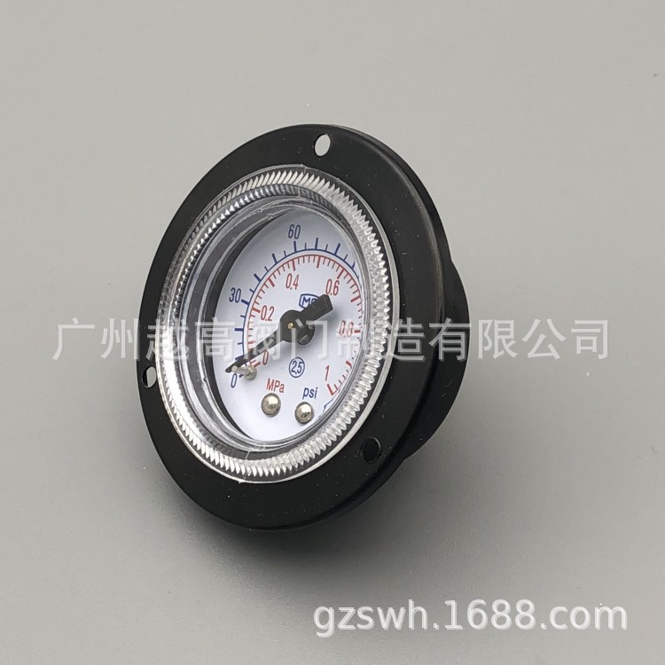 红旗仪表不锈钢耐腐轴向压力表