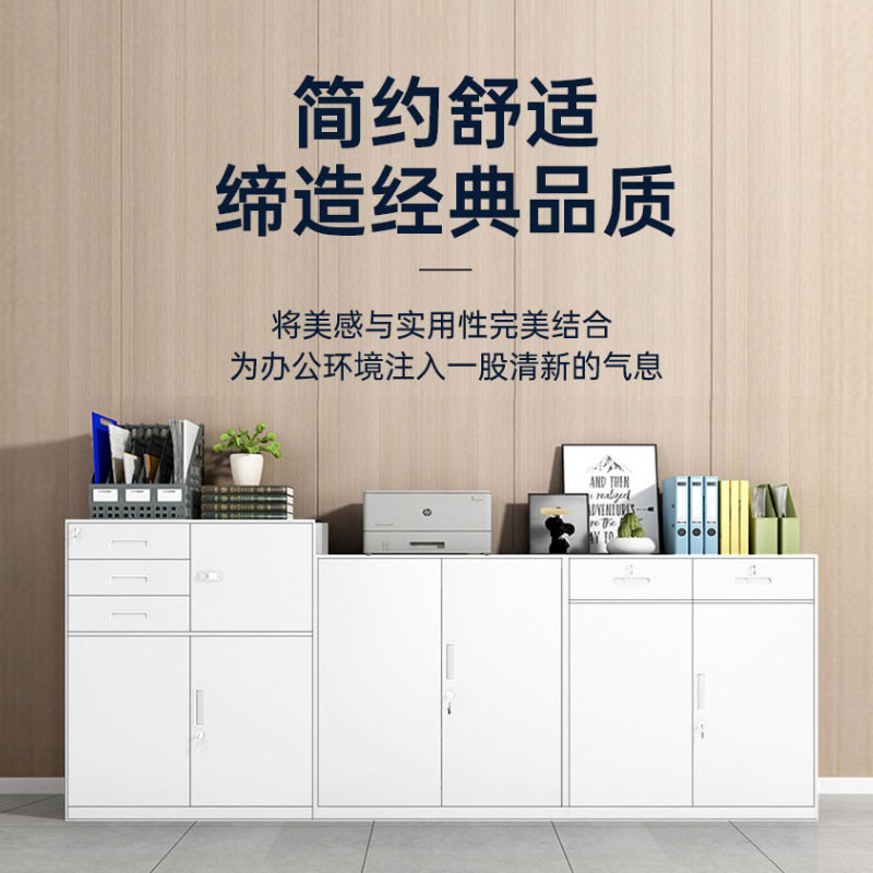 文件柜办公室铁皮柜子资料柜档案柜会计财务收纳柜矮柜多斗凭证柜