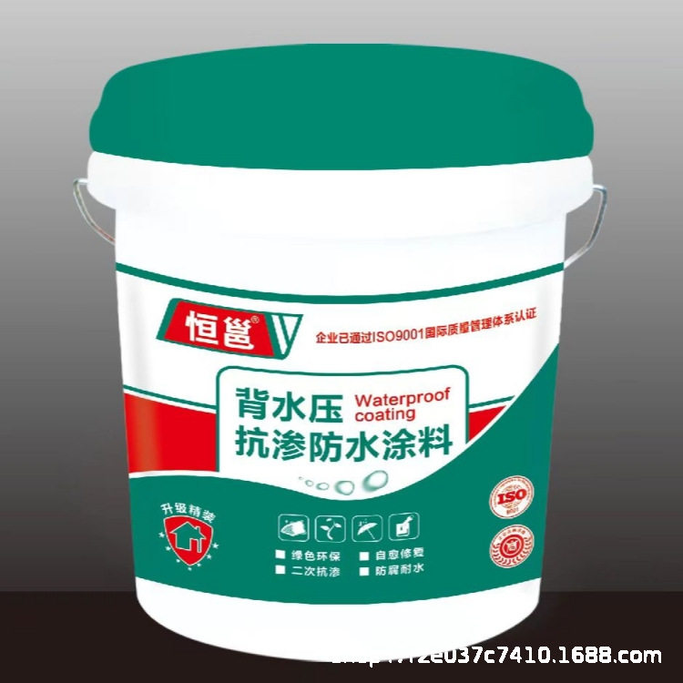 特殊机能背水压防水涂料建筑水池水库背水面抗渗堵漏耐久性强