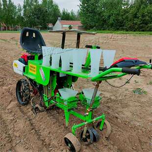 蔬菜苗瓜苗栽种机座驾式两行蔬菜移栽机辣椒西红柿秧苗栽苗机