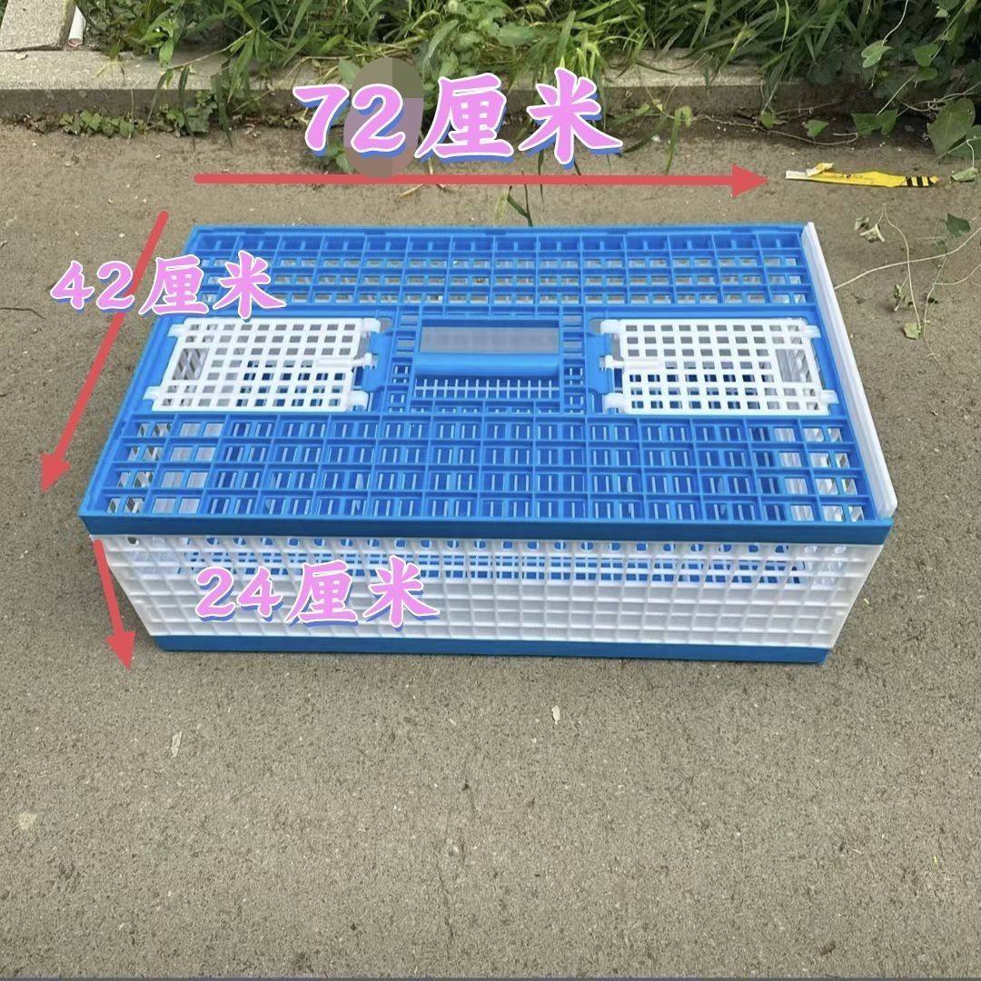 新款塑料笼鸽子放飞笼训放笼不可折叠赛鸽笼鸽子笼比赛笼训鸽笼