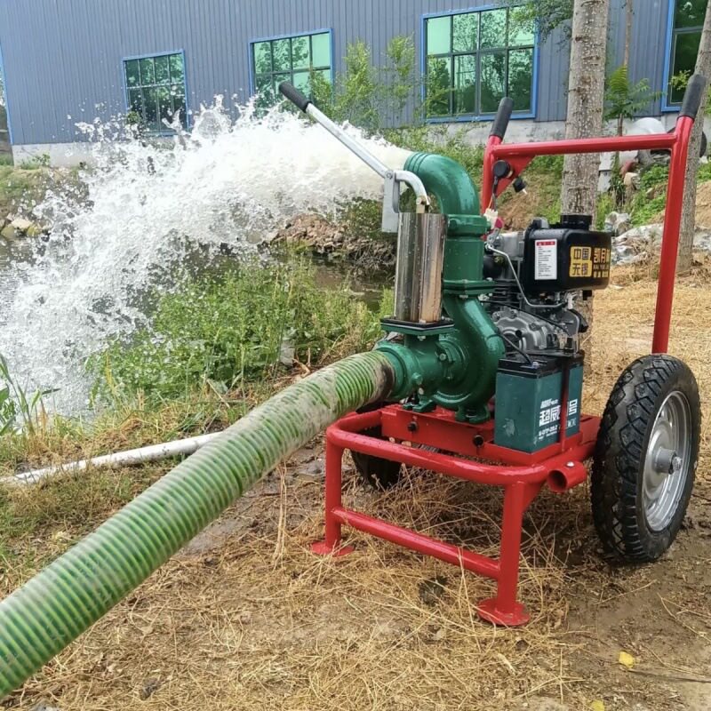 柴油机离心泵农用流量灌溉抽水机农田水泵家用抽水泵195F手扶新式