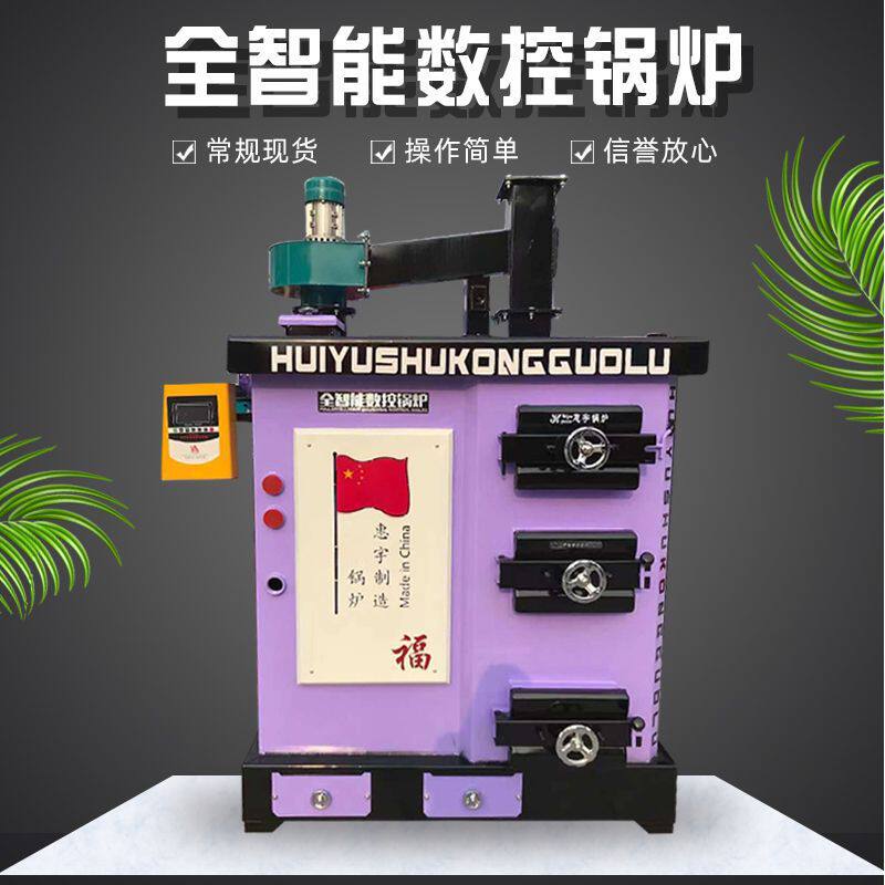 养殖数控锅炉 家庭别墅取暖 洗浴中心燃煤锅炉 小型工厂供暖锅炉