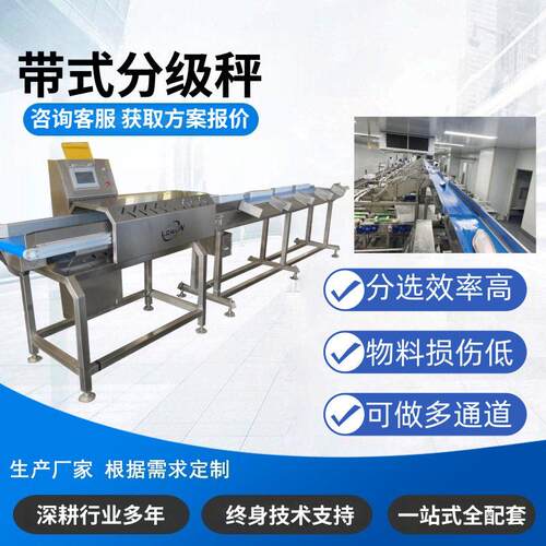 水产带式分级秤全自动鱼类重量分选机鲅鱼带鱼鲈鱼称重分级设备