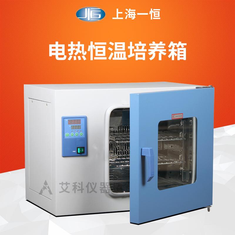 电热恒温培养箱微生物培养箱细菌培养箱实验室DHP系列