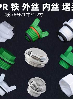 PPR水堵管件配件ppr堵头PPR堵帽热熔管堵头管帽铁丝堵 4分 6分