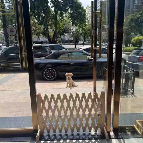 宠物围栏可伸缩门户外室内伸缩隔断拦猫拦狗栅栏挡板隔离门免打孔