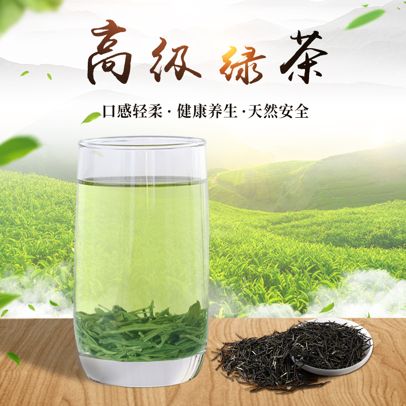 新茶头采春茶高端口粮茶耐泡回甘