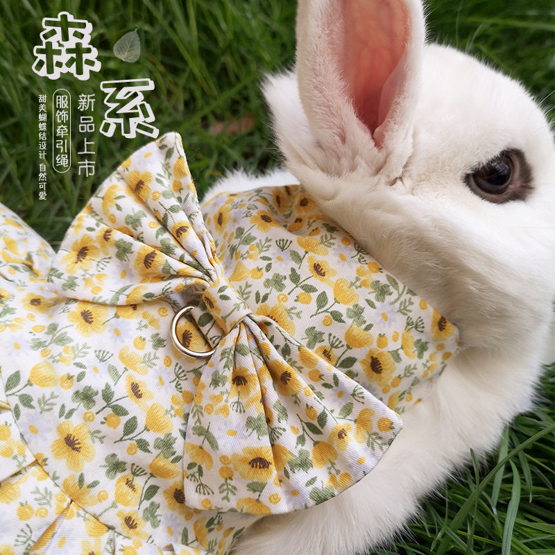 宠物兔子衣服牵引绳兔兔幼猫猫咪垂耳兔服饰出游萌趣可爱出街,宠物/宠物食品及用品,兔绳,淘宝优惠券,粉丝福利购,淘宝优惠卷
