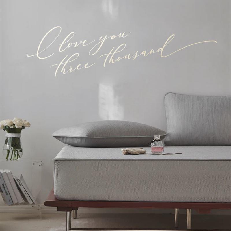 TM家居A类凉感丝席子凉席空调席夏季可折叠床笠款软席1.8三件套