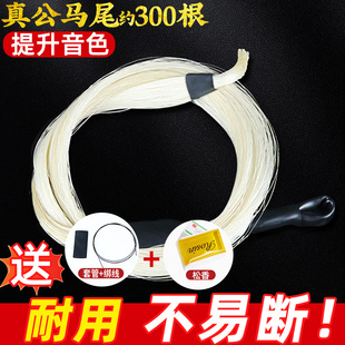 二胡琴弓马尾弓毛精选内蒙真白马尾专业二胡马尾毛乐器配件