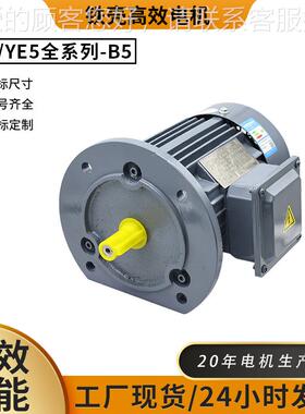 交流2..2Y4 11WE节能电机E二级能效0.75W-90352W Y5全铜380V