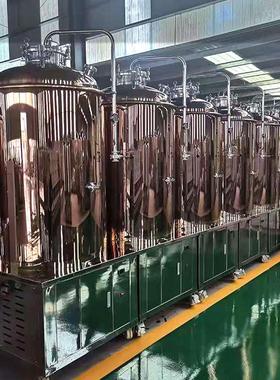 啤酒制冷发酵罐精酿啤酒设备扎啤机商用酿酒设备锥形啤酒罐500L
