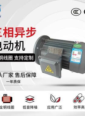 2极三相异步电动机YE3-80M1/M2-2全铜节能马达0.75W-1.5W电机