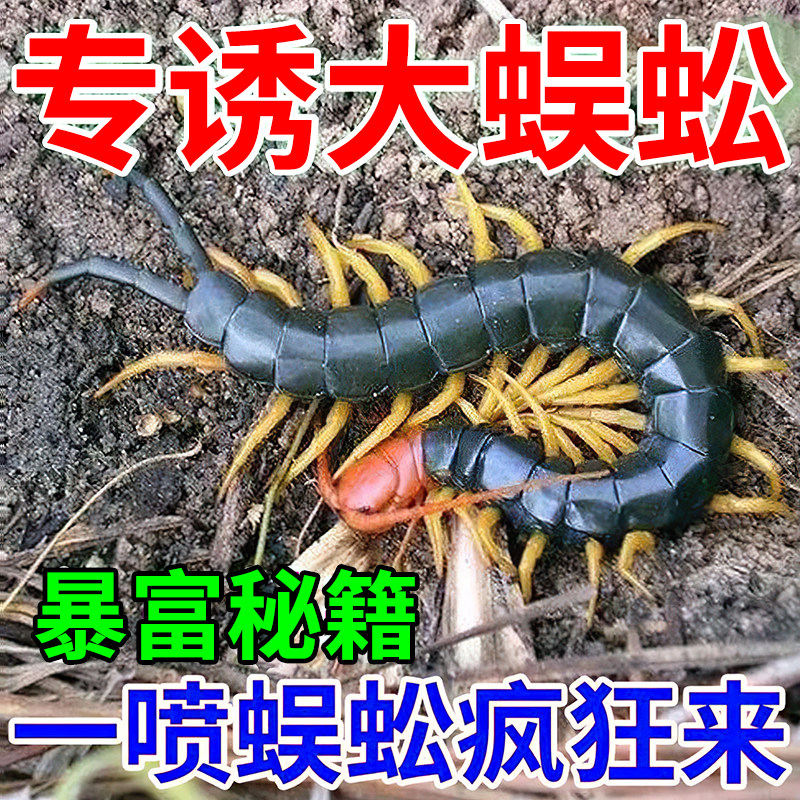抓蜈蚣神器【当晚来蜈蚣】抓活虫引诱剂强力诱捕千足虫蜈蚣粉小药