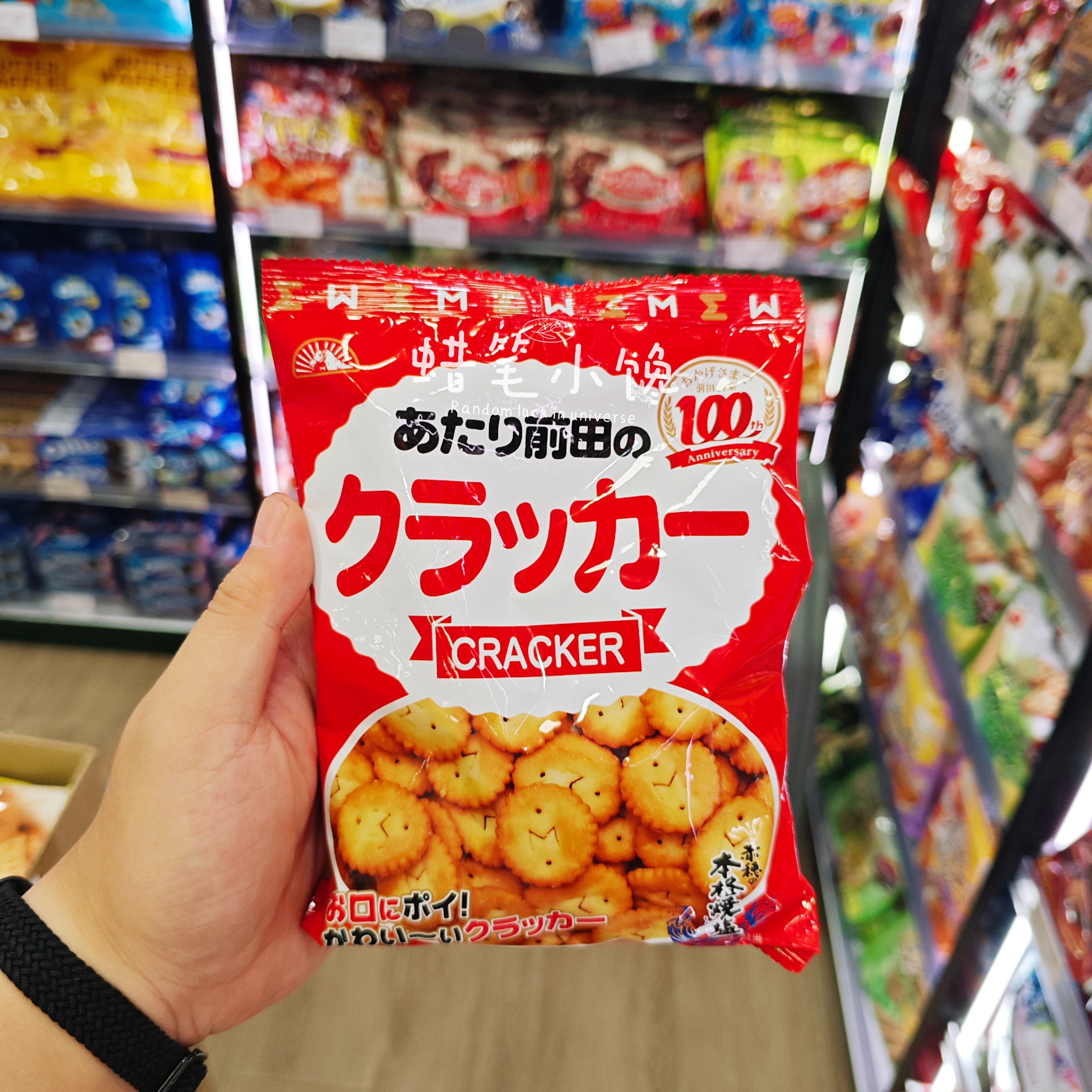 香港代购 日本进口前田制菓 前田饼干小圆饼咸香薄脆饼干进口零食