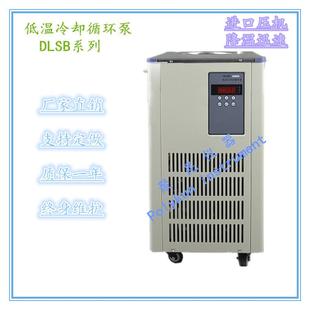 低温泵DLSB 冷却水循环泵 低温冷却液循环泵