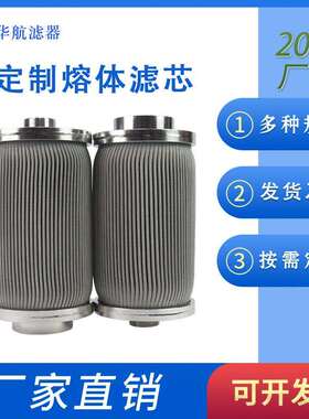 熔体滤芯 316L不锈钢烧结毡滤芯 金属折叠滤网 气体滤芯88*176