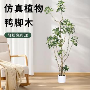 仿真绿植鸭脚木高端轻奢室内客厅大盆栽落地假植物盆景