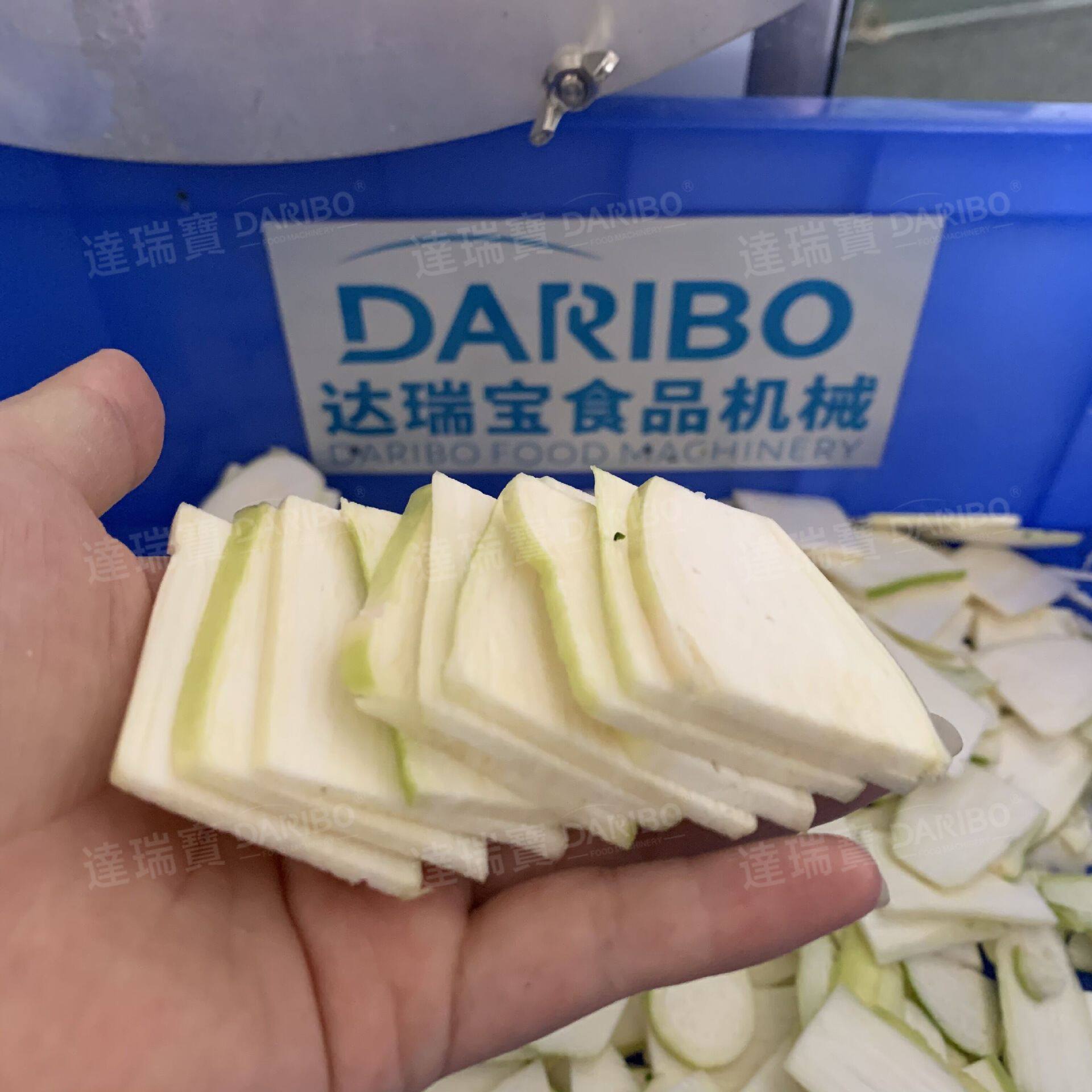 W洋葱切丝机 大型洋葱切圈机 莴笋切片切丝机 大蒜切片机工厂工业