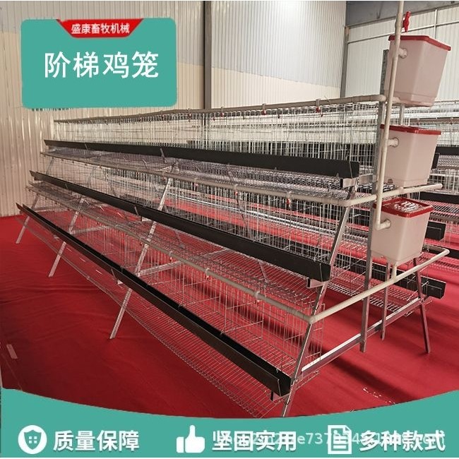 阶梯蛋鸡笼 镀锌铁丝养殖场大号双边三层5叠式家禽养鸡蛋鸡笼,宠物/宠物食品及用品,宠物鸡/鸭/鸽笼,淘宝优惠券,粉丝福利购,淘宝优惠卷