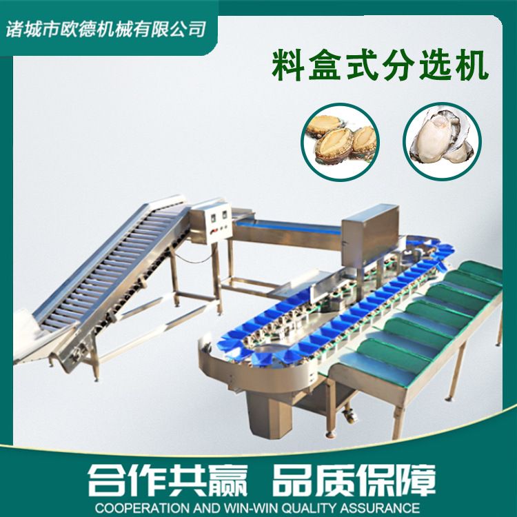 小龙虾重量分选机 海鲜牡蛎生蚝鲍鱼分选机 水果橙子 精准高效