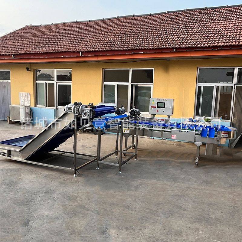 柚子西柚重量分级机 玉米自动称重秤 车厘子猕猴桃牛奶枣选果机,清洗/食品/商业设备,选果机/分选机,淘宝优惠券,粉丝福利购,淘宝优惠卷