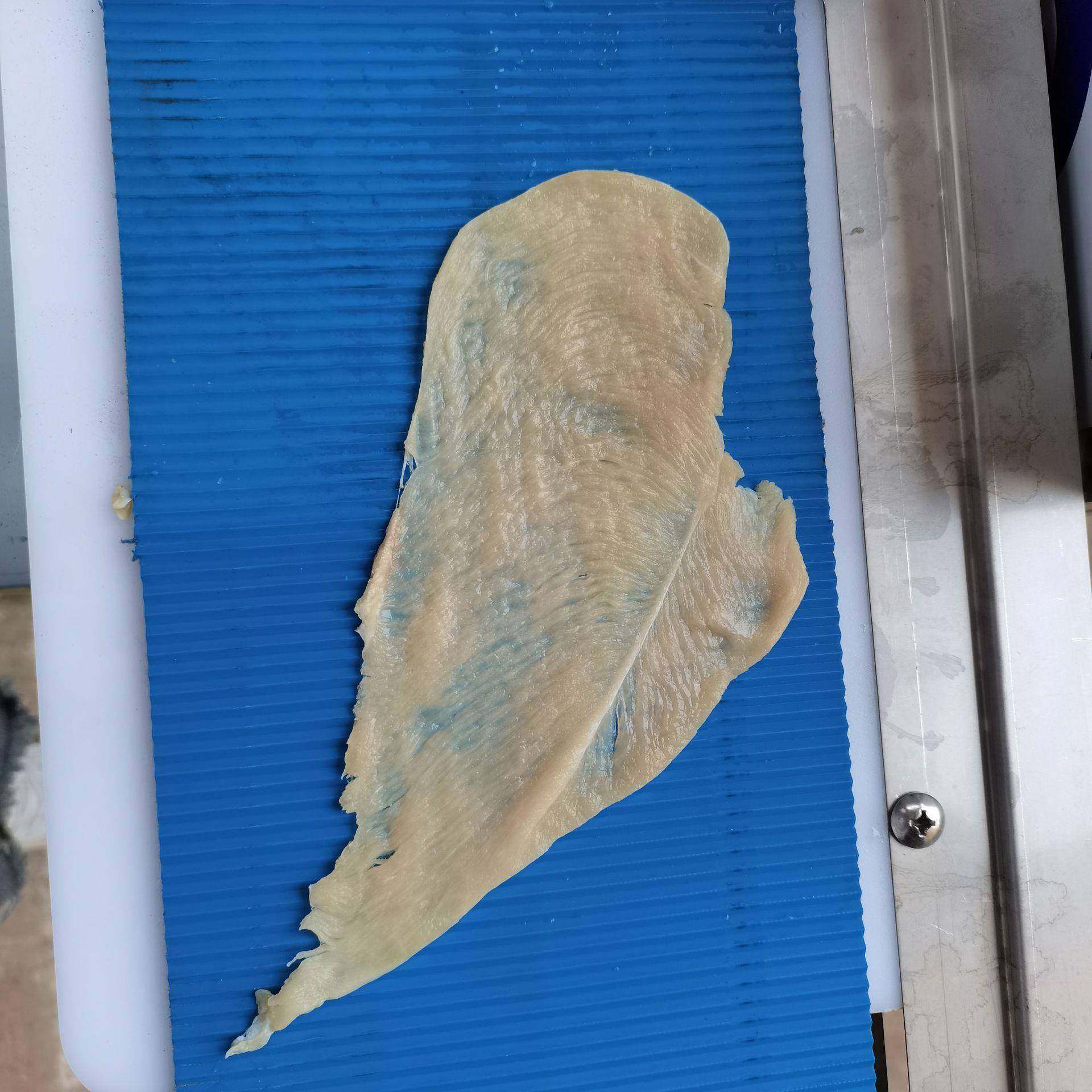 商用肉类全自动牛肉切片切条机鸭鸡胸肉开片机全自动鲜肉切片机,清洗/食品/商业设备,肉制品加工设备,淘宝优惠券,粉丝福利购,淘宝优惠卷