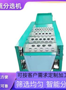 滚筒式沃柑分大小果设备商用百香果分选机工业龙眼分级机