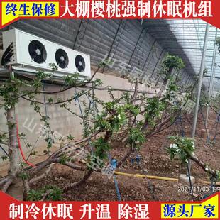 反季节大棚樱桃制冷机组7匹休眠升温除湿一体机大棚温控空调8匹