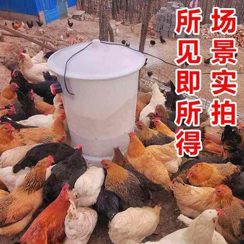 散养鸡鸭鹅鸽鸡槽食槽家禽养殖全自动下料饲料桶喂鸡喂食器喂