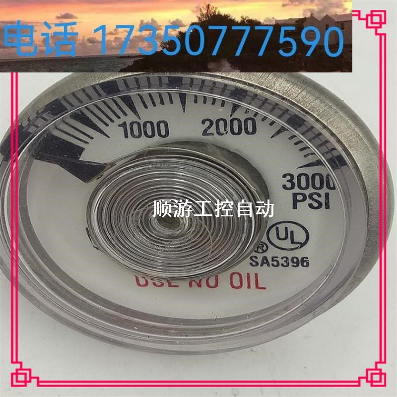 【议价】USE NO 01L 压力表 SA5396 3000PSI (146)