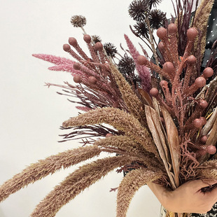 仿真花芦苇干花7狐尾草花民宿装 狗尾巴花摄影道具插花 饰花艺软装
