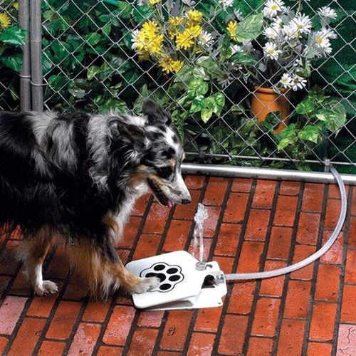 High-quality Stainless Steel Pet Dog Water Fountain Outdoor